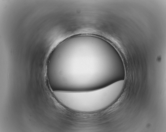 X0000095121366200712070933
