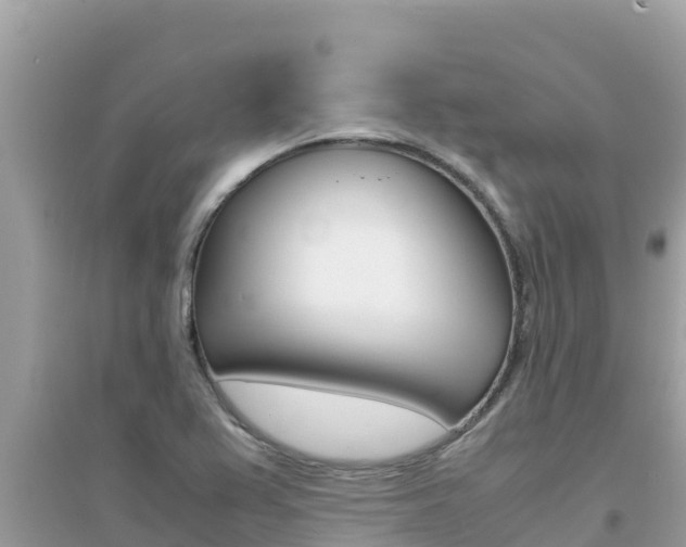 X0000095121367200712070933