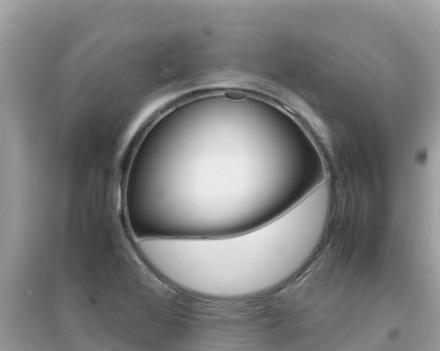 X0000095121368200712070933