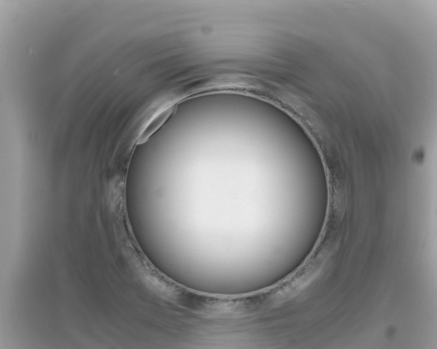 X0000095121369200712070933