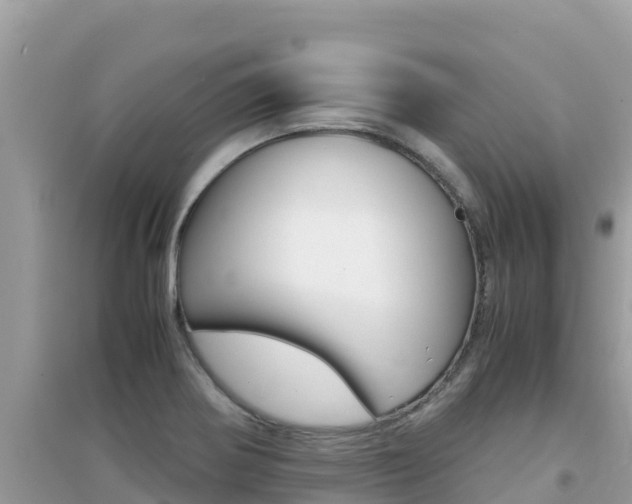 X0000095121370200712070933
