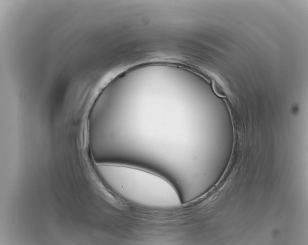 X0000095121371200712070933