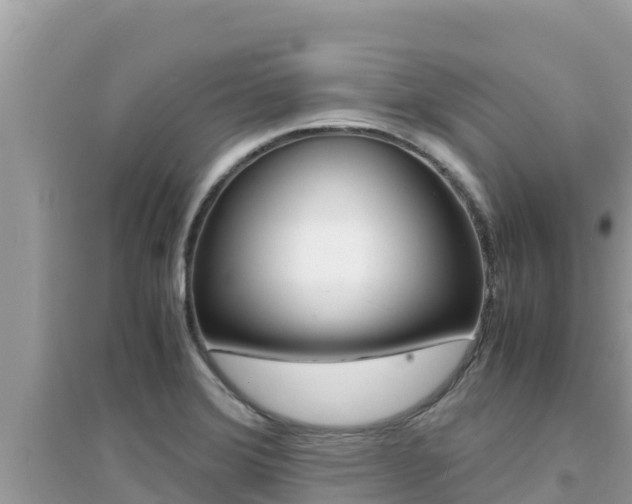 X0000095121372200712070933