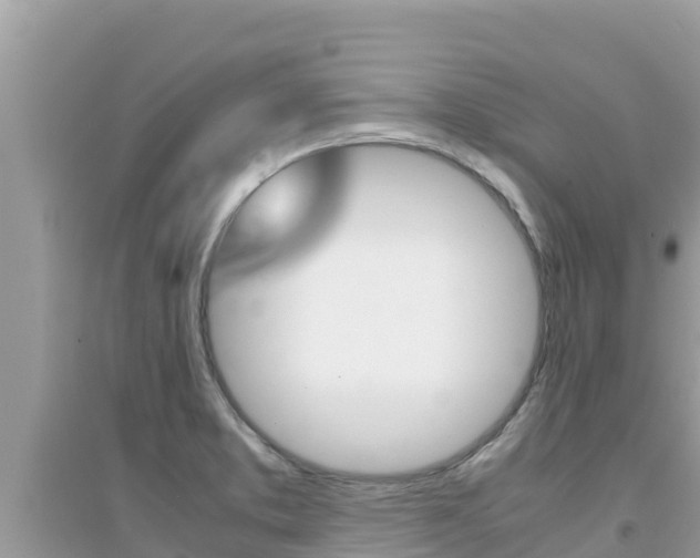 X0000095121373200712070933