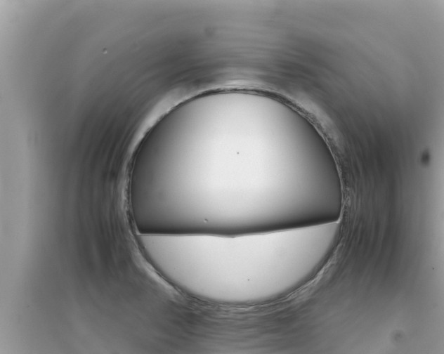 X0000095121374200712070933