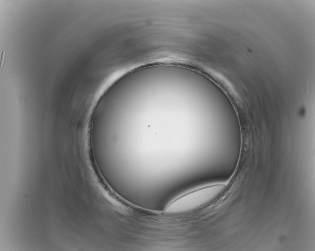 X0000095121375200712070932