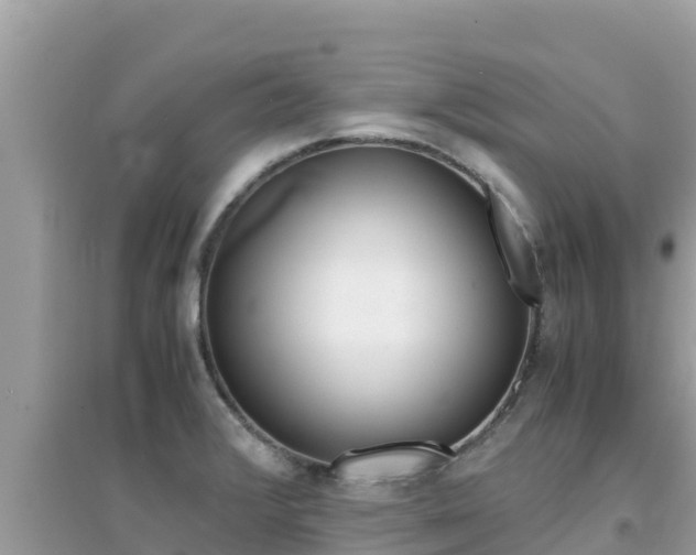X0000095121376200712070932