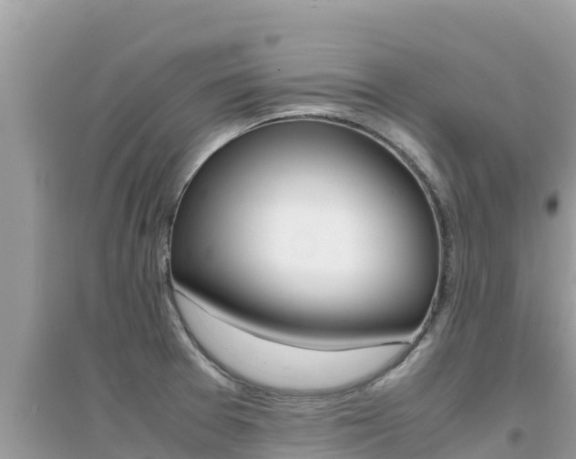 X0000095121377200712070932