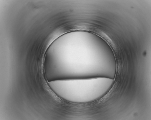 X0000095121378200712070932