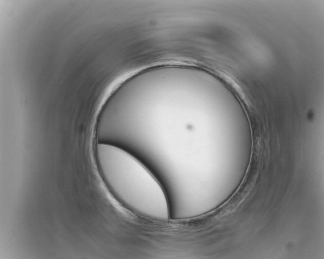 X0000095121379200712070932