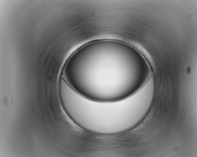 X0000095121380200712070932
