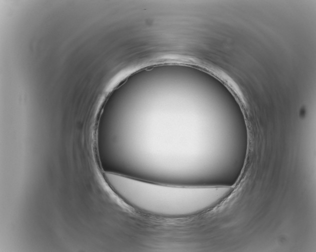 X0000095121381200712070932