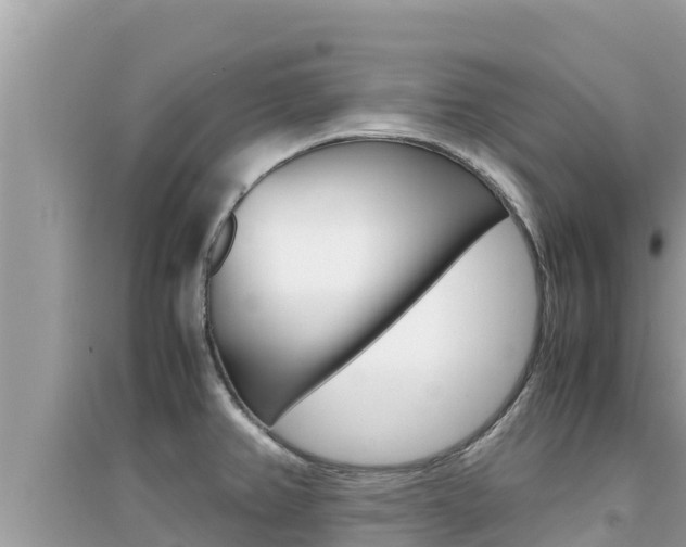 X0000095121382200712070932