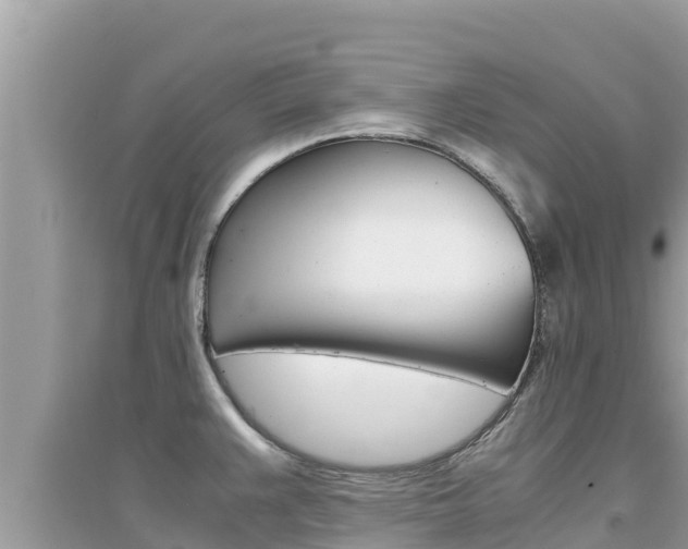 X0000095121383200712070932