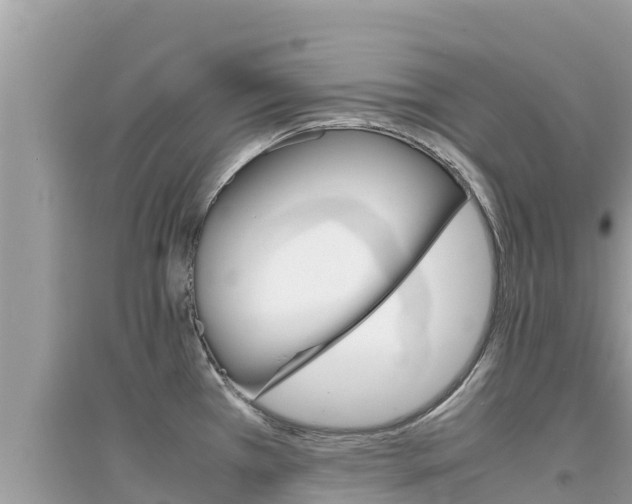 X0000095121385200712070932