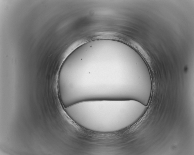 X0000095121386200712070932