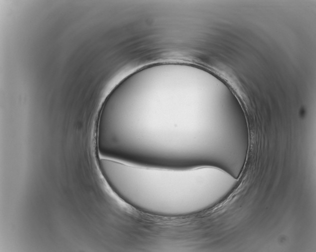 X0000095121387200712070932