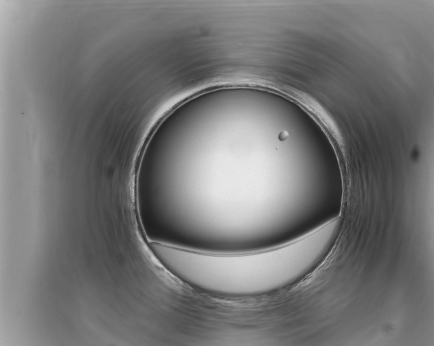 X0000095121388200712070932