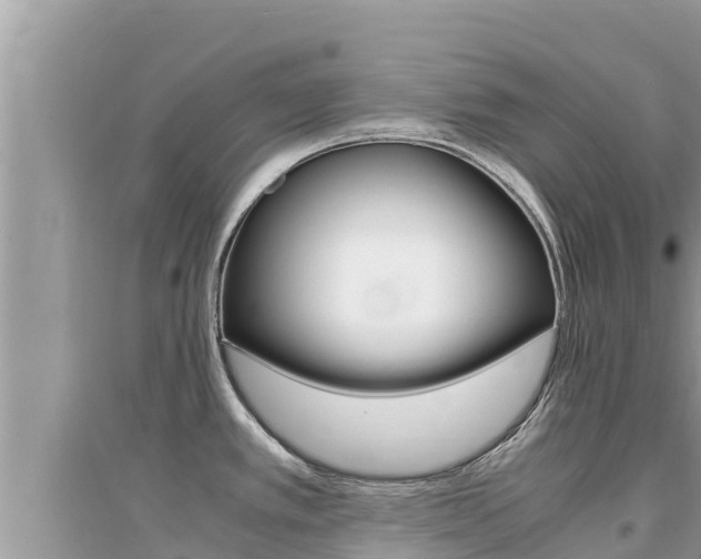 X0000095121389200712070932