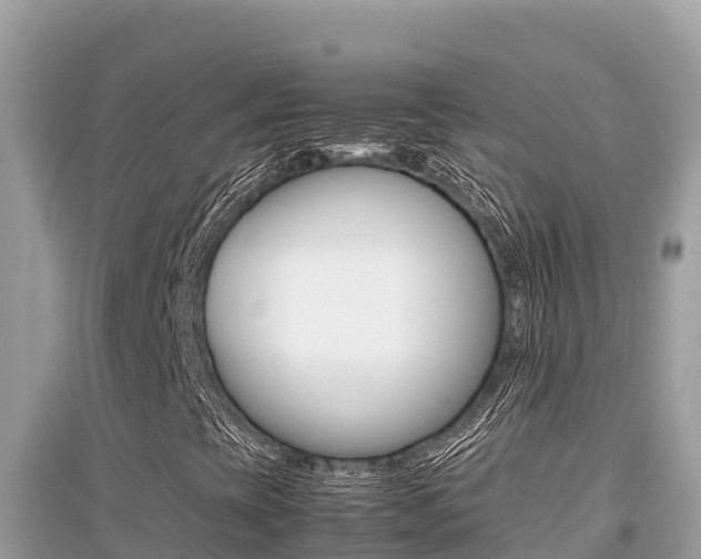 X0000095121393200712070931