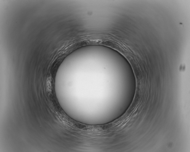 X0000095121394200712070931