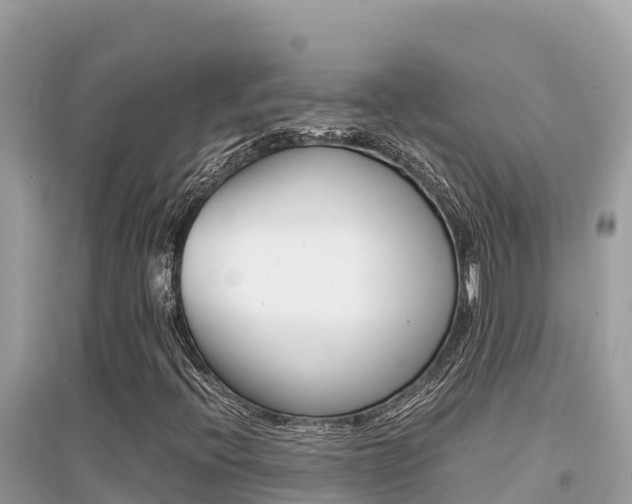 X0000095121396200712070931