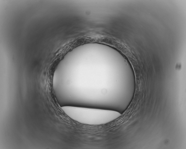 X0000095121397200712070931