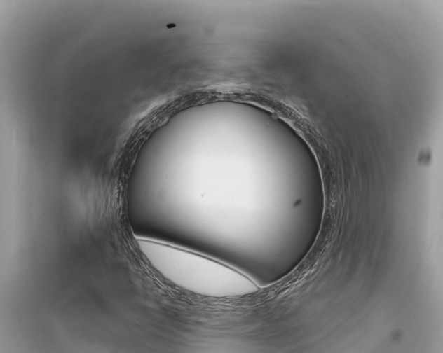 X0000095121398200712070931