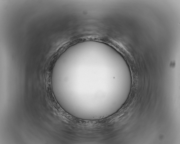 X0000095121399200712070931