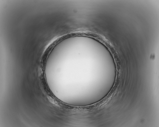 X0000095121400200712070931