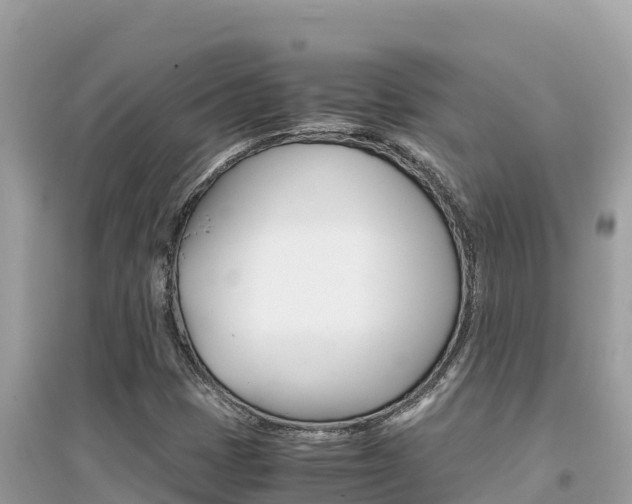 X0000095121401200712070931