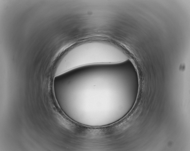 X0000095121402200712070931