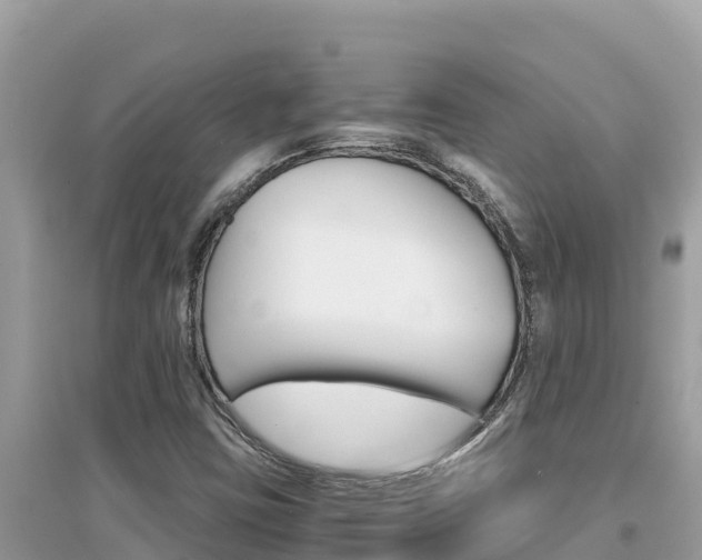 X0000095121403200712070931