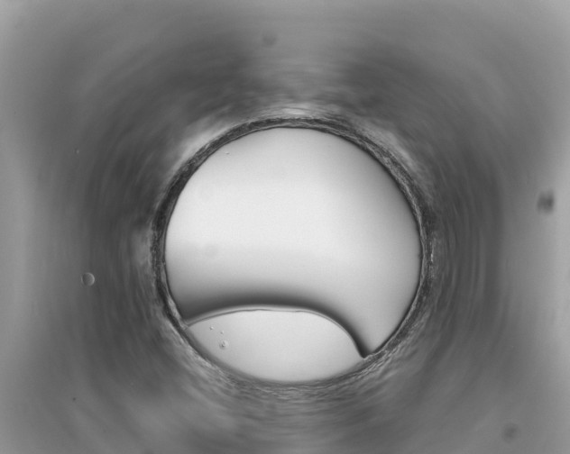 X0000095121404200712070931