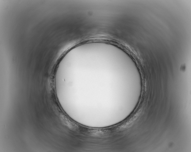 X0000095121405200712070931
