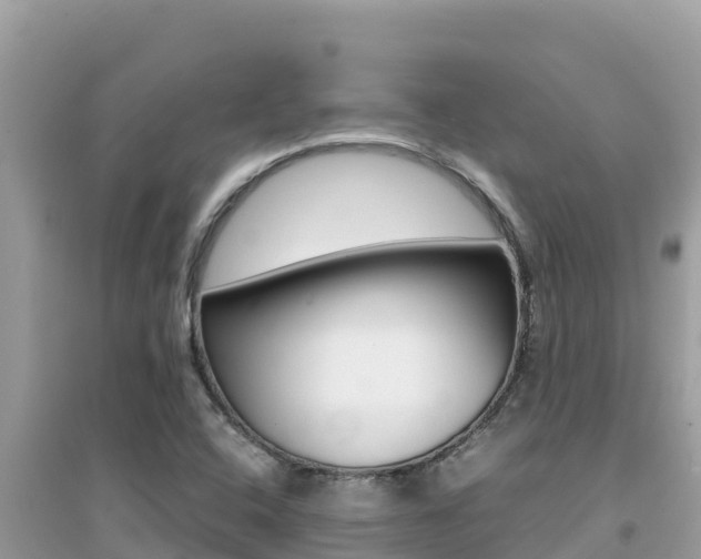 X0000095121408200712070932