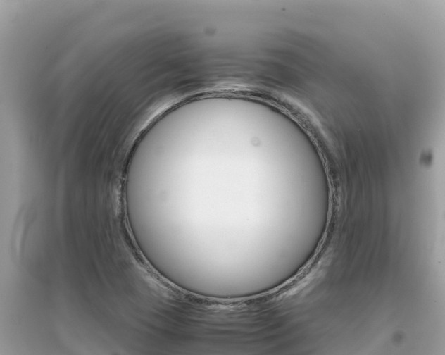 X0000095121409200712070932