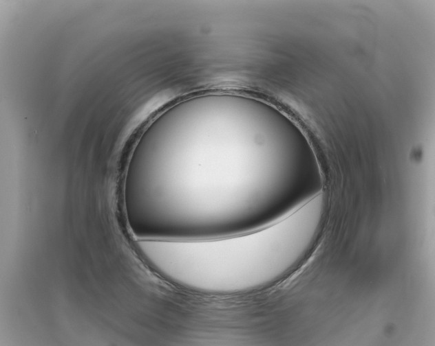 X0000095121410200712070932