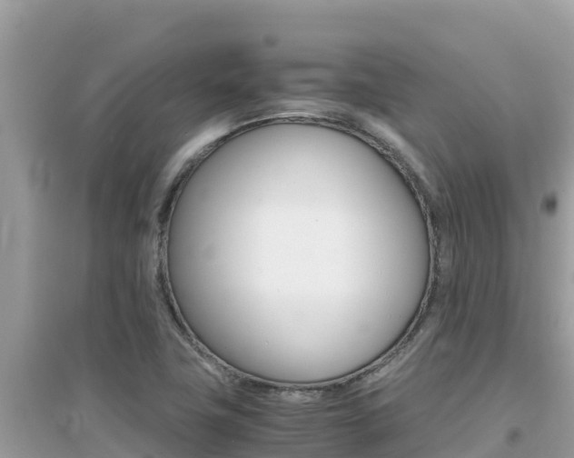 X0000095121411200712070932