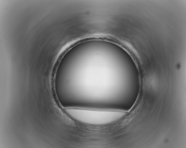 X0000095121412200712070932
