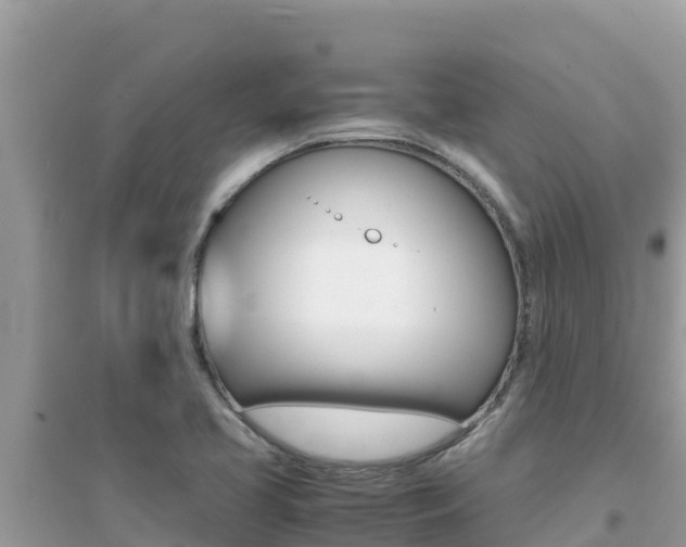 X0000095121413200712070932