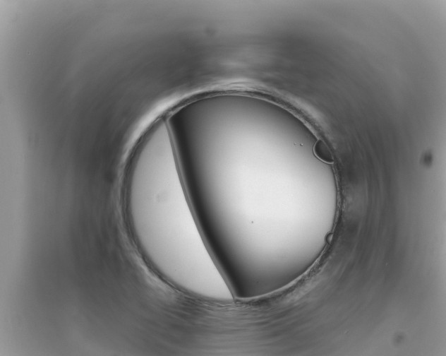 X0000095121414200712070932