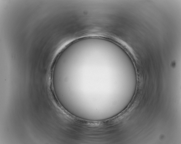 X0000095121415200712070932