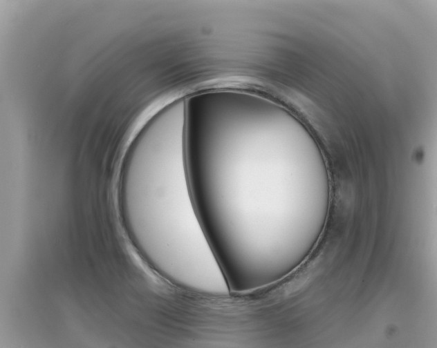 X0000095121418200712070932
