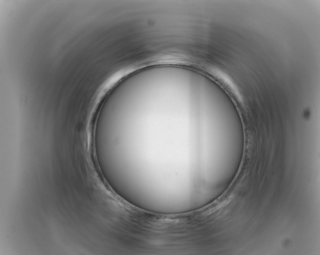 X0000095121419200712070932