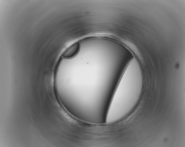 X0000095121420200712070932