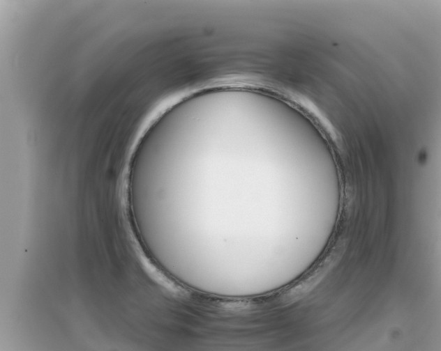 X0000095121421200712070932