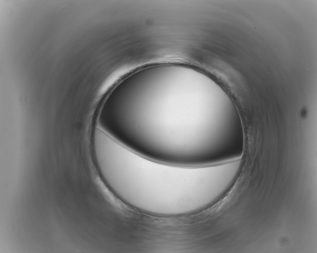 X0000095121422200712070932