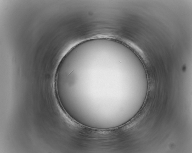 X0000095121423200712070932