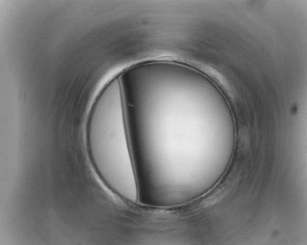 X0000095121424200712070932